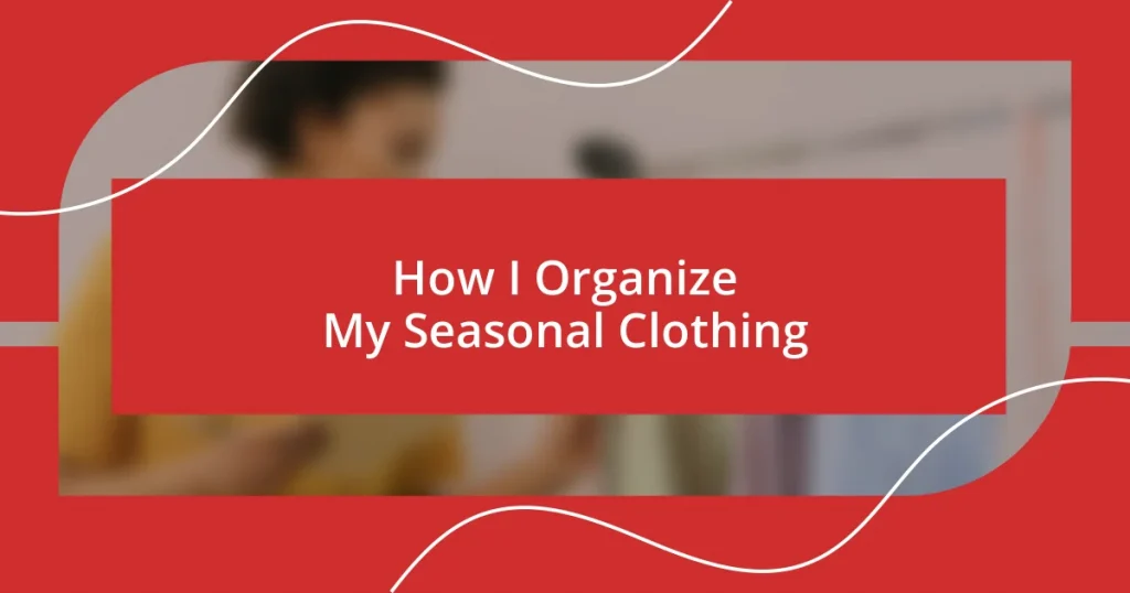 How I Organize My Seasonal Clothing