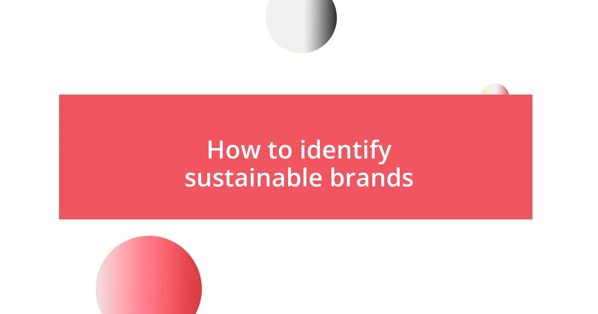 How to identify sustainable brands